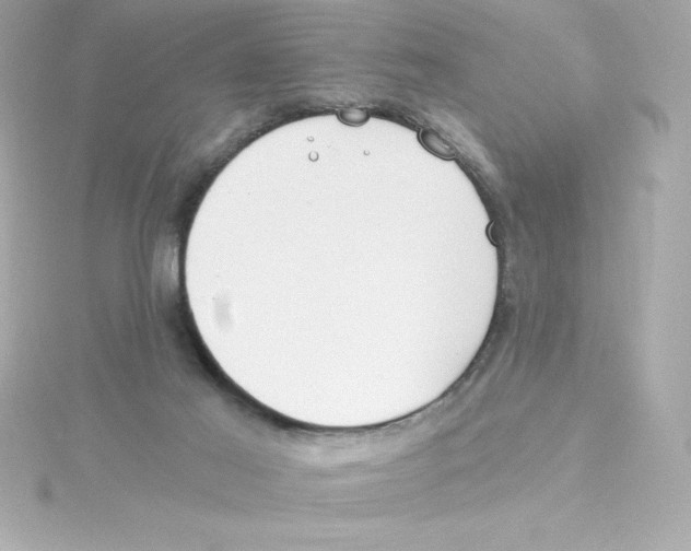 X0000115240021200911271852