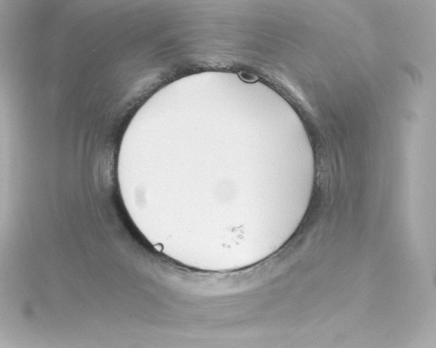 X0000115240023200911271852