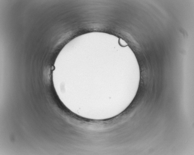 X0000115240024200911271852