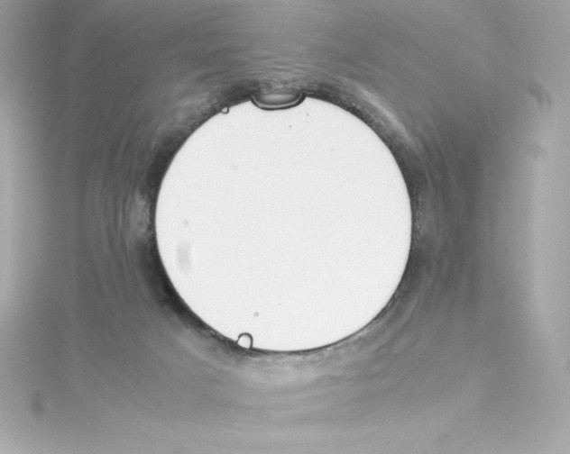 X0000115240025200911271852