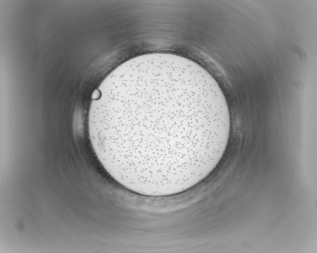 X0000115240026200911271852