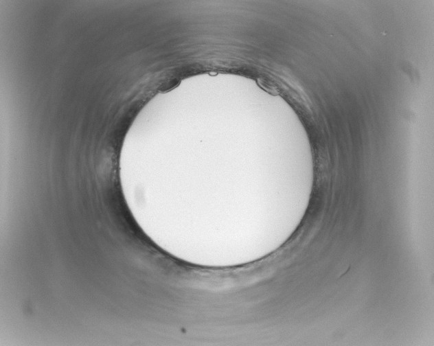 X0000115240029200911271852