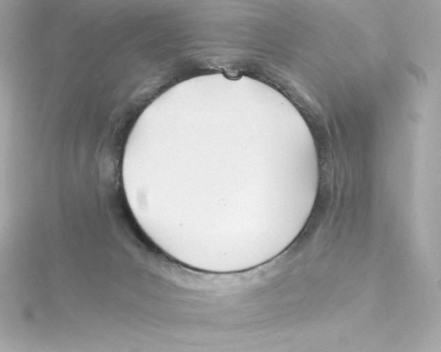 X0000115240031200911271852