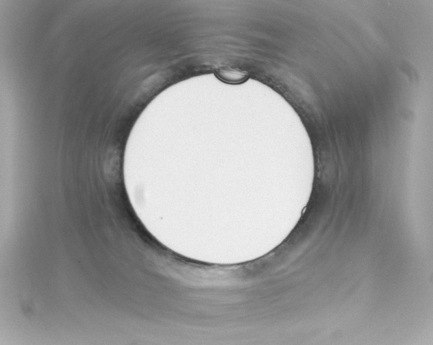 X0000115240036200911271852