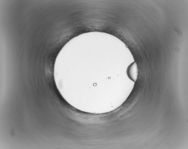 X0000115240040200911271852