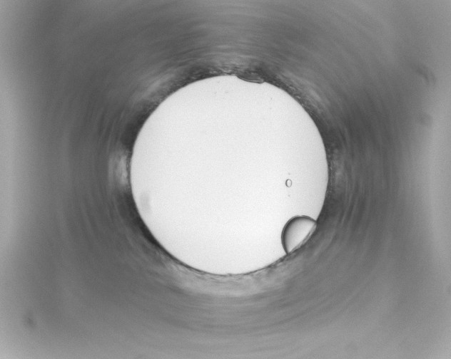 X0000115240042200911271852