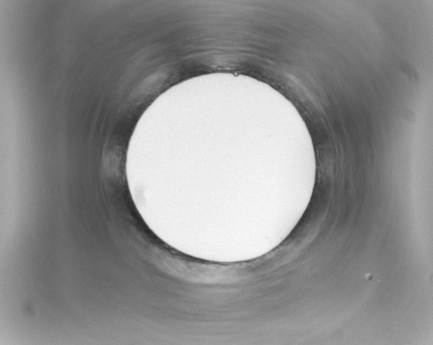 X0000115240044200911271852