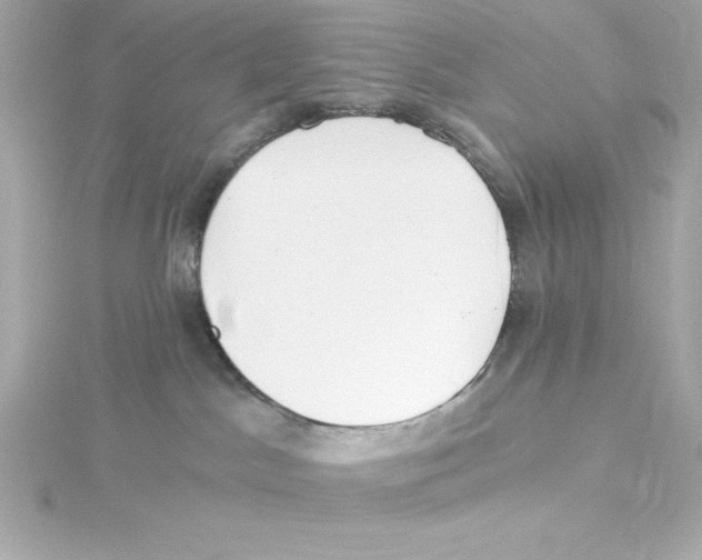 X0000115240045200911271852