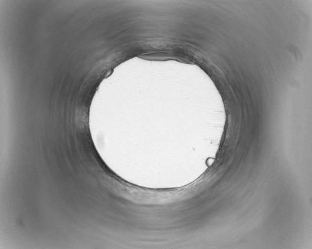 X0000115240048200911271852