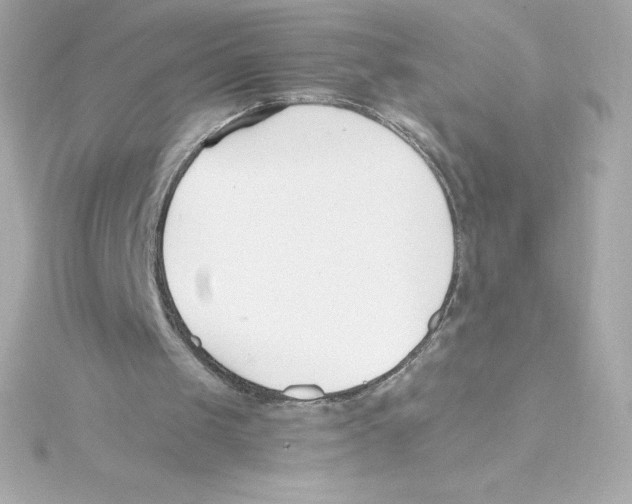 X0000115240049200911271851