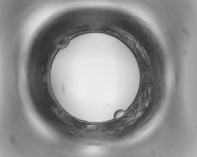 X0000115240050200911271851