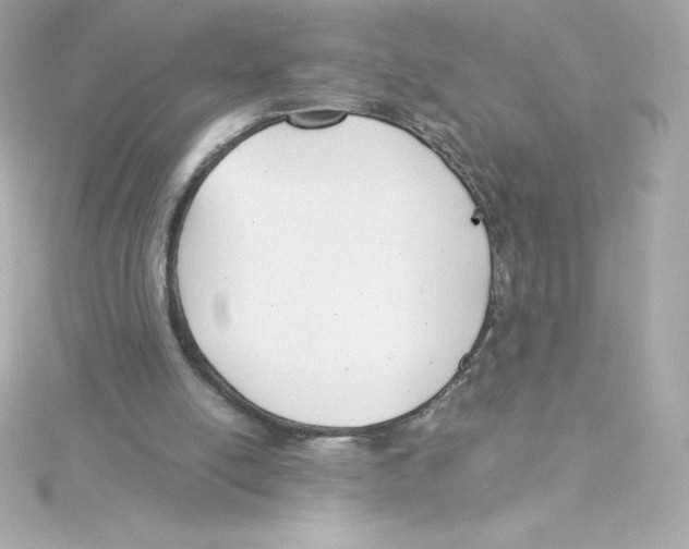 X0000115240054200911271851