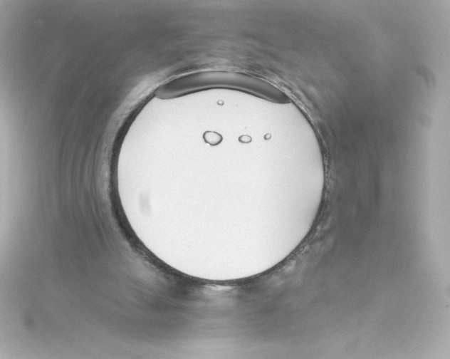 X0000115240055200911271851