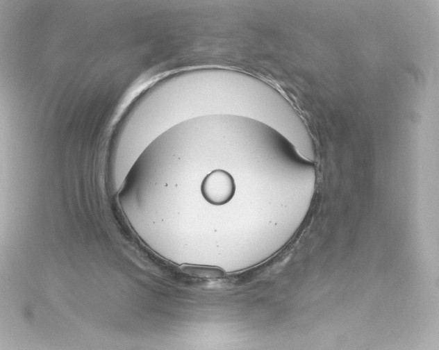 X0000115240056200911271851