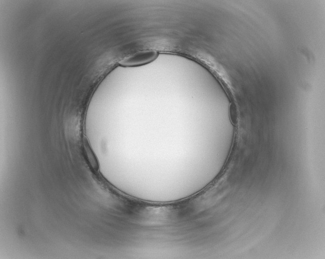 X0000115240057200911271851