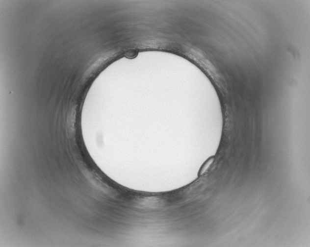 X0000115240058200911271851