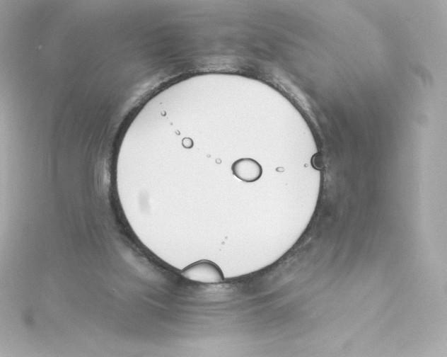 X0000115240059200911271851