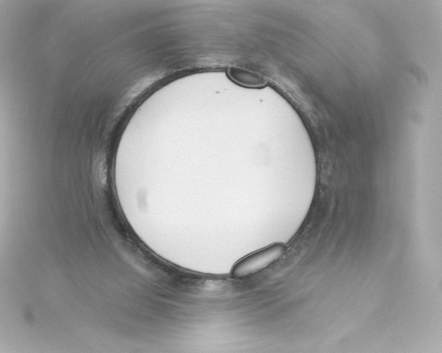 X0000115240060200911271851