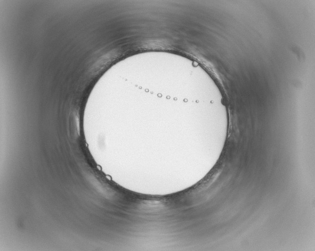 X0000115240061200911271852