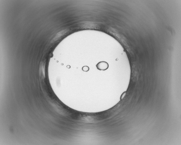 X0000115240062200911271852