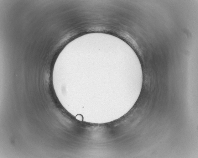 X0000115240063200911271852