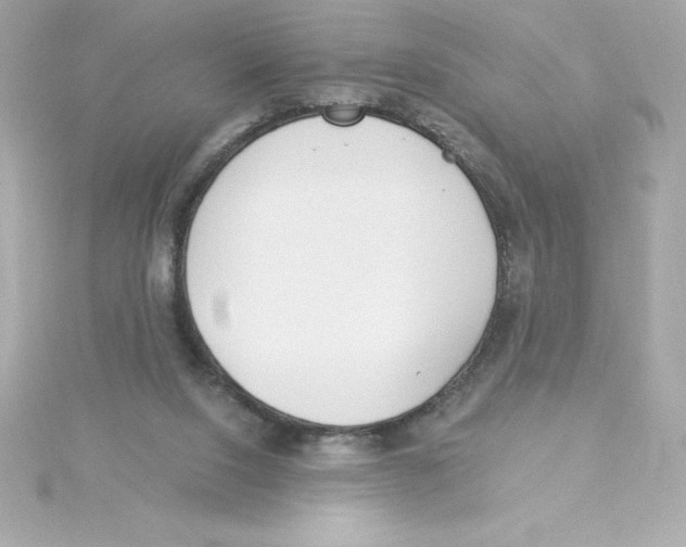 X0000115240064200911271852