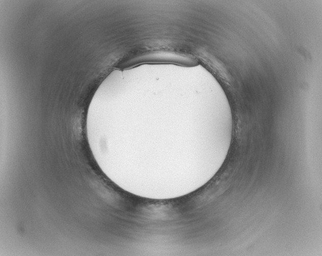 X0000115240065200911271852