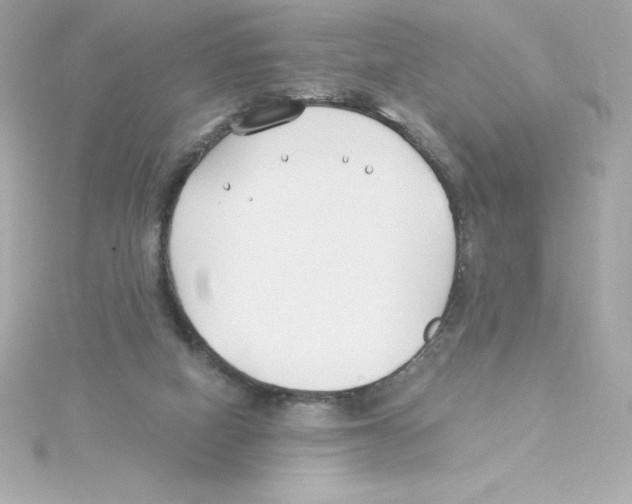 X0000115240066200911271852