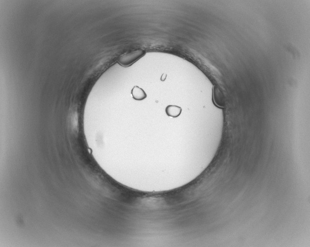 X0000115240067200911271852