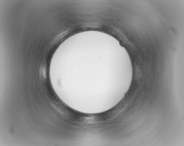 X0000115240068200911271852