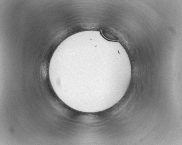 X0000115240069200911271852