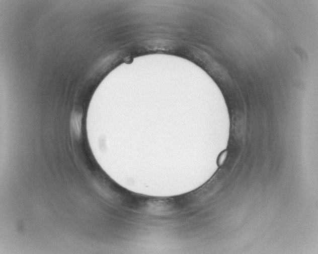 X0000115240070200911271852