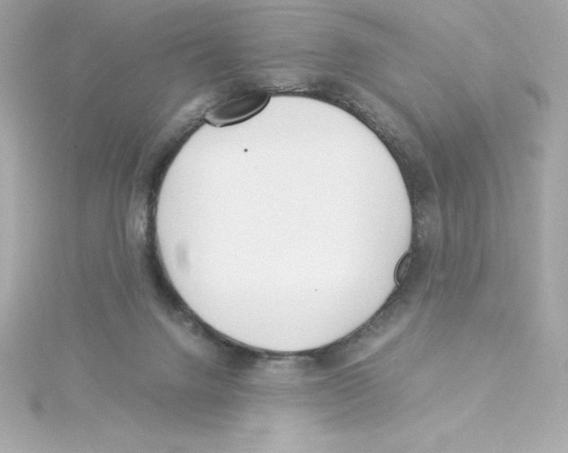 X0000115240072200911271852