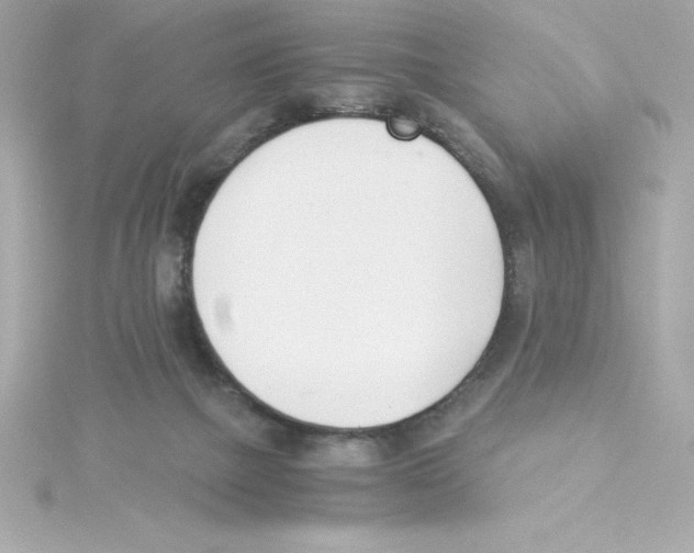 X0000115240073200911271852