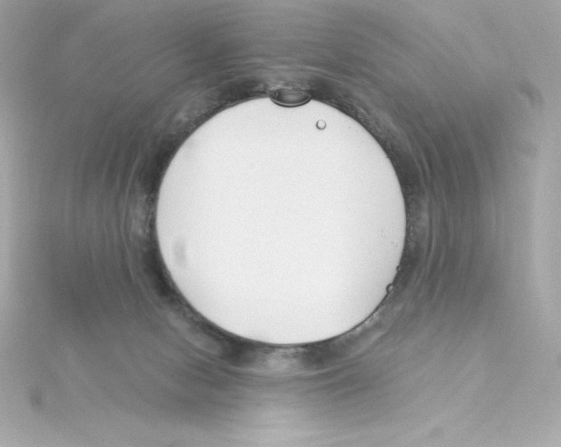 X0000115240078200911271852