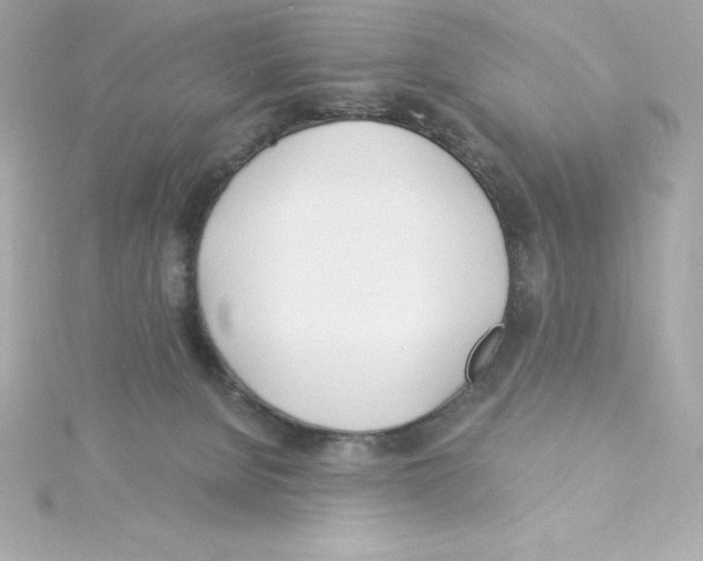 X0000115240080200911271852