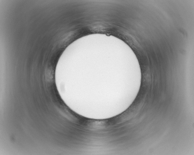 X0000115240081200911271852