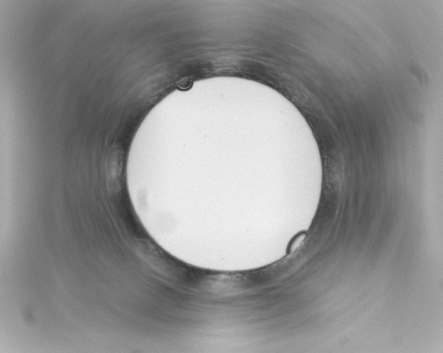 X0000115240082200911271852