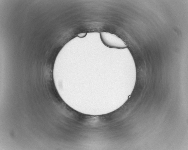 X0000115240083200911271852