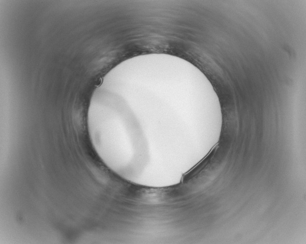 X0000115240088200911271852