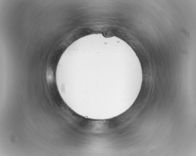 X0000115240089200911271852