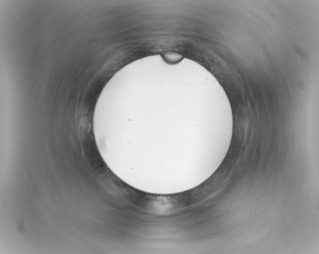 X0000115240091200911271852