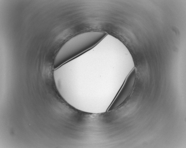 X0000115240092200911271852