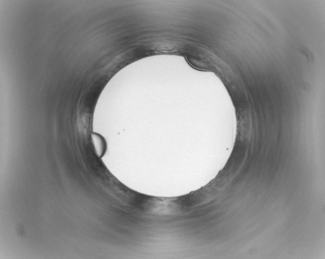 X0000115240093200911271852