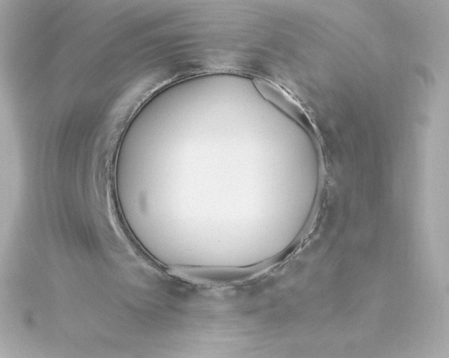 X0000115240097200911271851