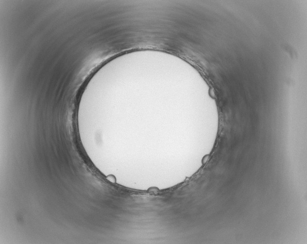 X0000115240098200911271851