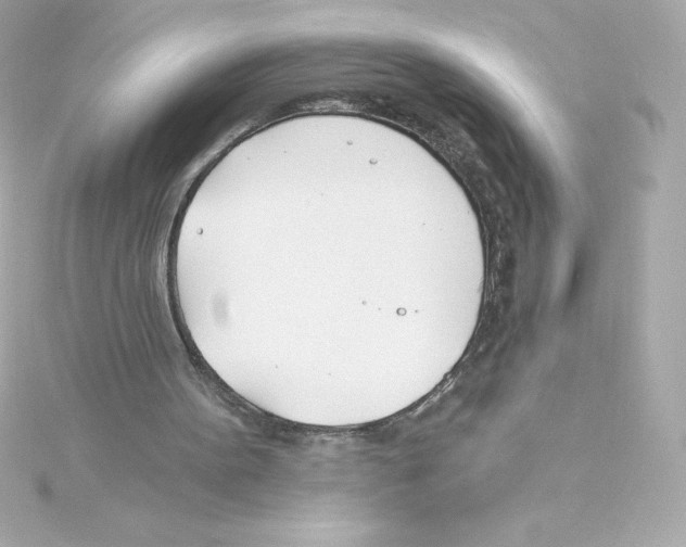 X0000115240099200911271851