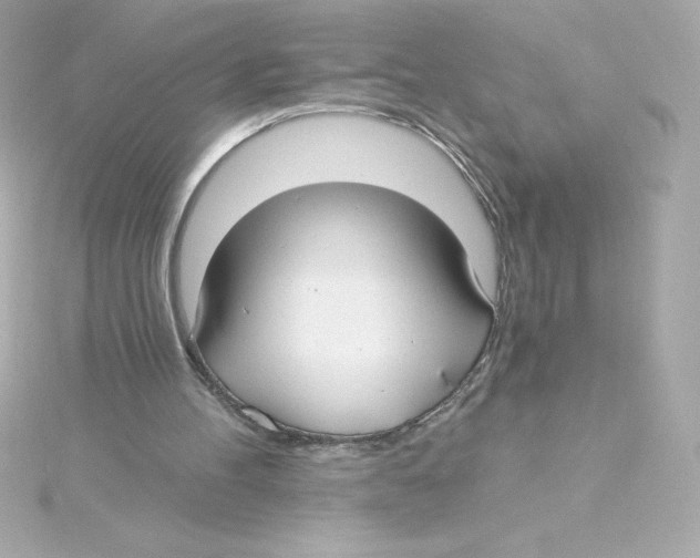 X0000115240100200911271851