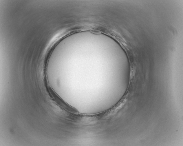 X0000115240101200911271851