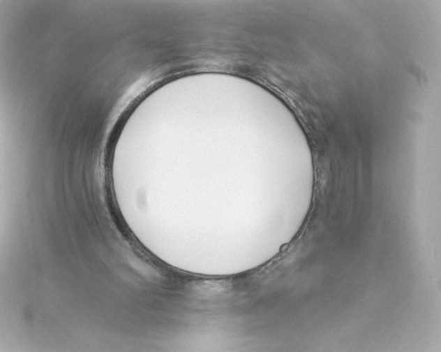 X0000115240102200911271851